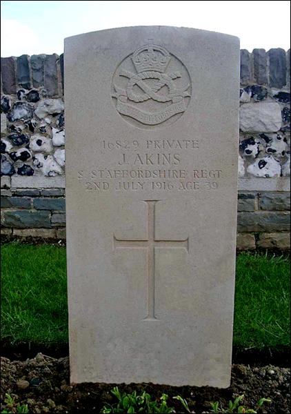 Akins John 96 422x600
