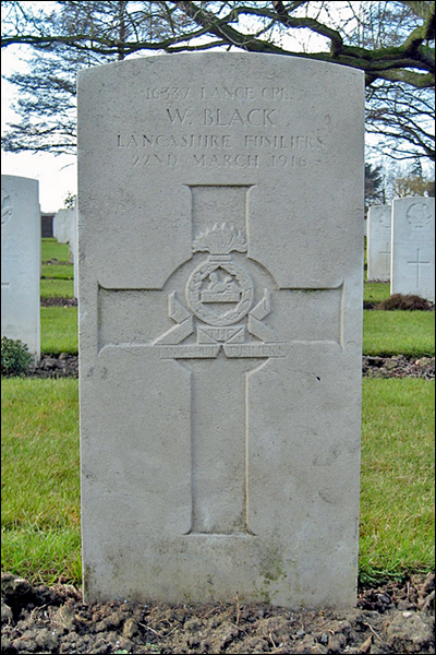 Black William 96 400x600