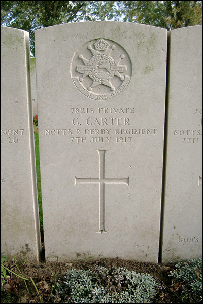 Carter George 96 400x600