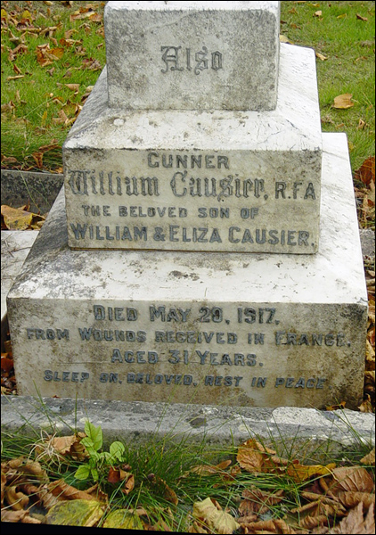 Causer William 96 422x600
