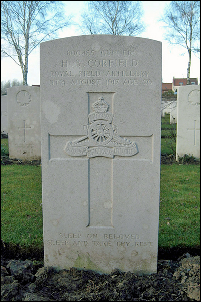 Corfield Harold 96 400x600