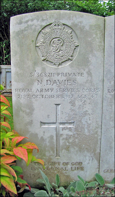 Davies Norman 96 391x600