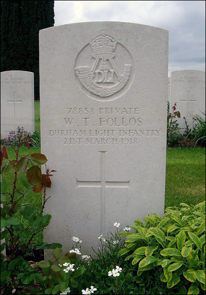 Follos William 96 419x600