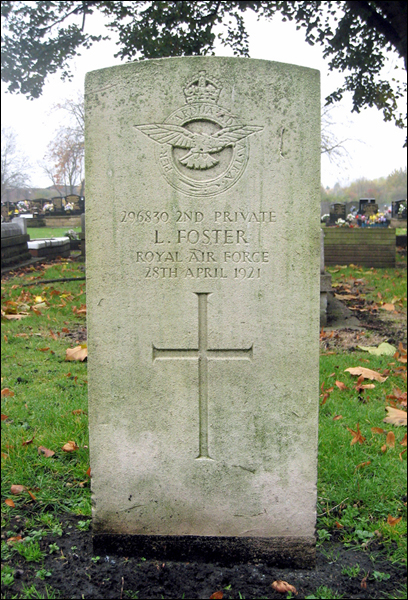 Foster Levi 96 408x600