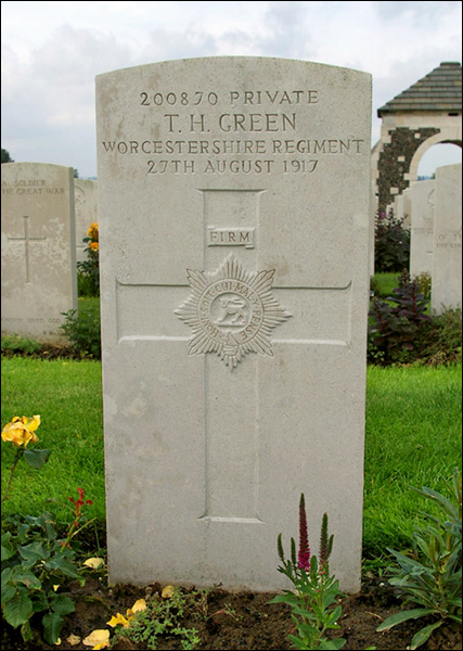 Green Thomas Henry 96 427x600