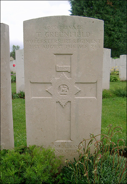 Greenfield Thomas 96 414x600