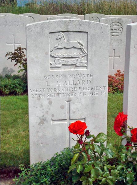 Hallard Lewis 96 445x600