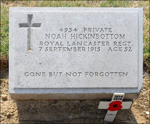 Hickinbottom Noah 4954 96 500x413