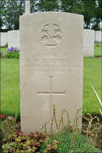Jones WH 31174 96 401x600