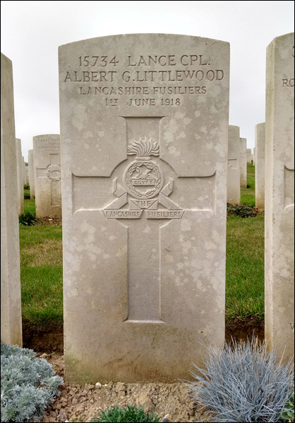 Littlewood Albert 96 418x600