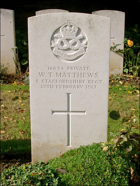 Matthews William 16634 96 450x600
