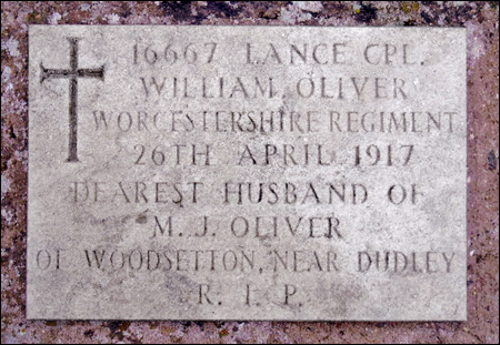 Oliver William 96 450x311