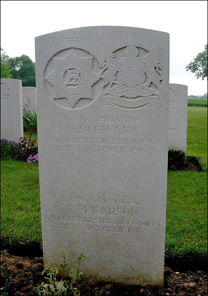 Pearson William 12129 96 422x600