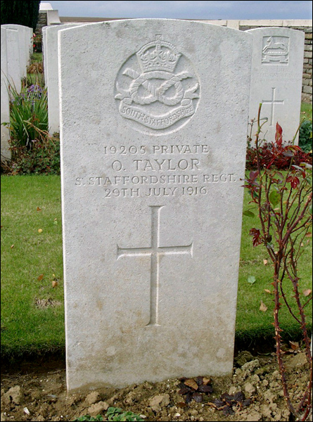 Taylor Oliver 96 445x600