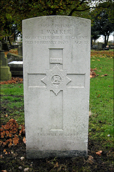 Walker Leslie 96 400x600