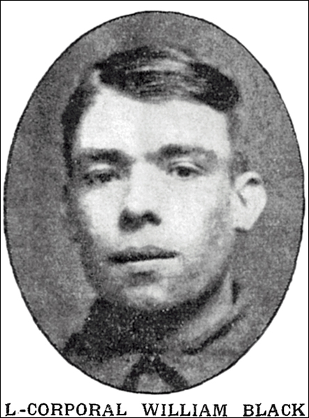 Black William 96 444x600