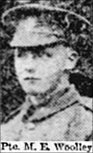 Woolley Mark head